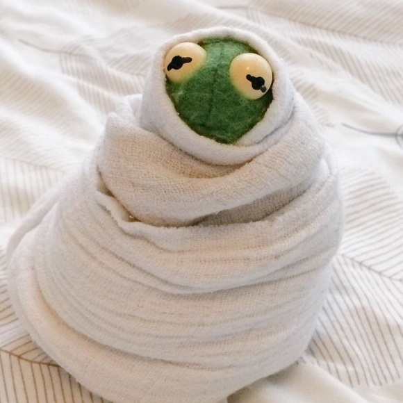 Meet your Posher, Taylor - Picture 1 of 1